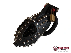 Spanish Cage_02