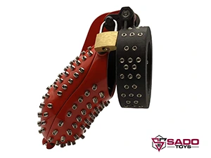 Spanish Cage_03